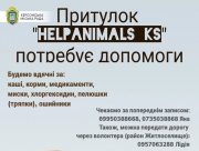 У Херсоні потрібна допомога притулку для тварин