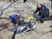 У Корабельному районі Херсона внаслідок обстрілу загинула жінка, поранено трьох херсонок (ВІДЕО)