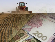 Херсонщина першою в Україні отримала виплати за повністю втрачені посіви