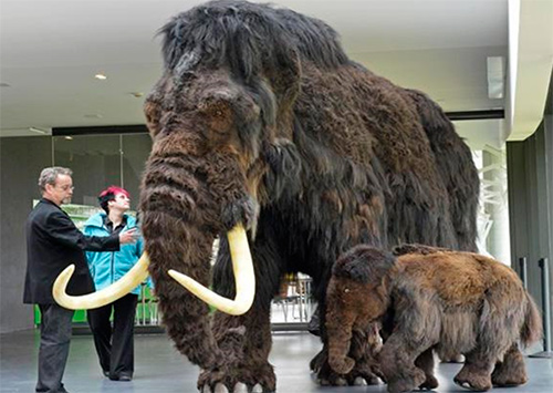 Херсонці запасайте шкури мамонтів