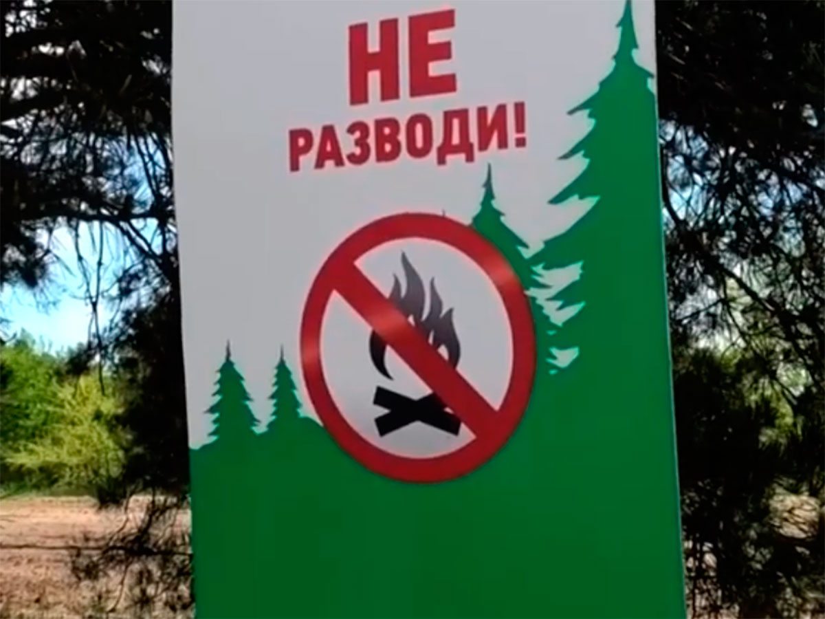 Олешківський ліс, відео, відпочинок