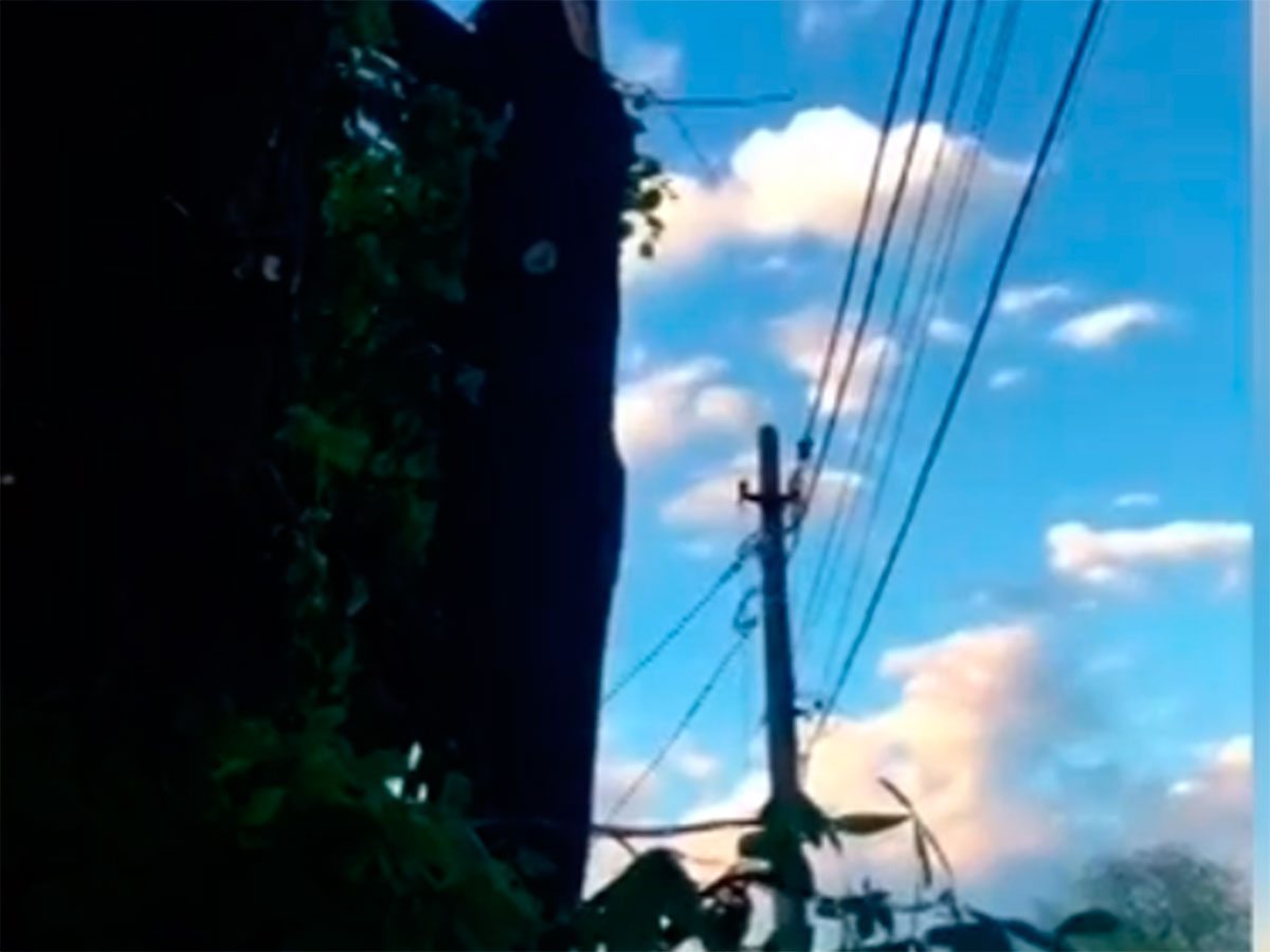 Херсон, відео, варварство