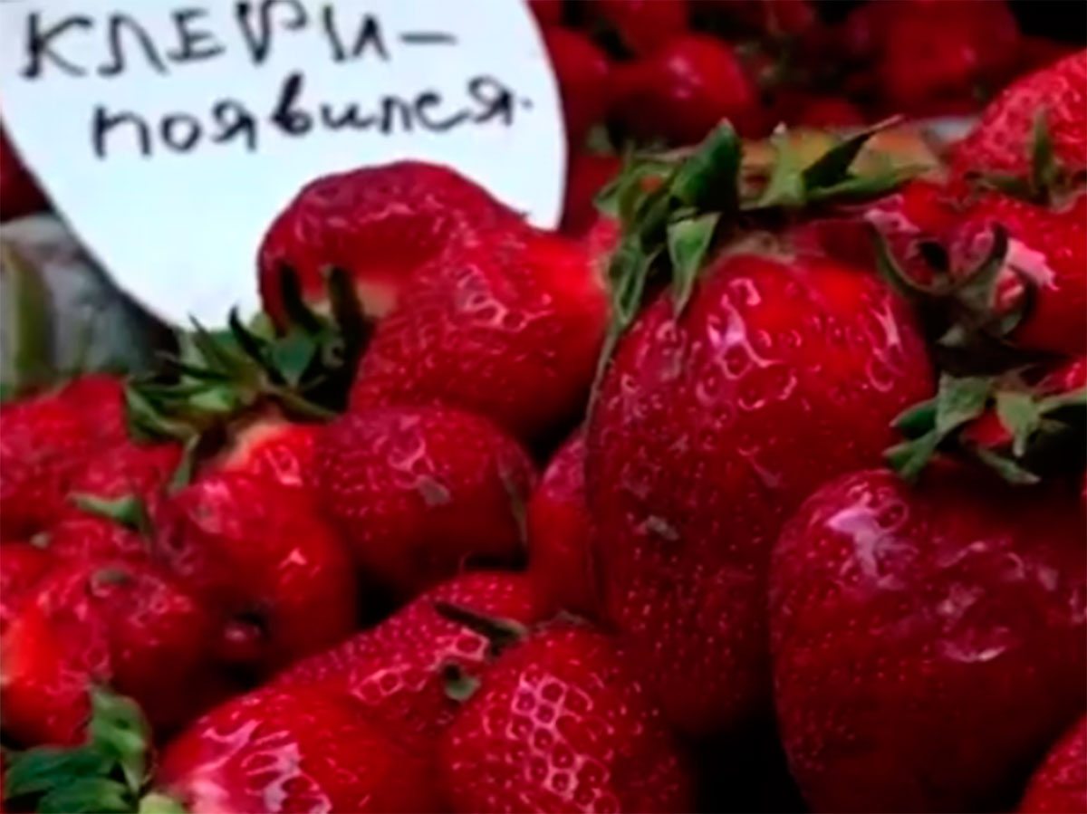 Херсон, відео, ціни