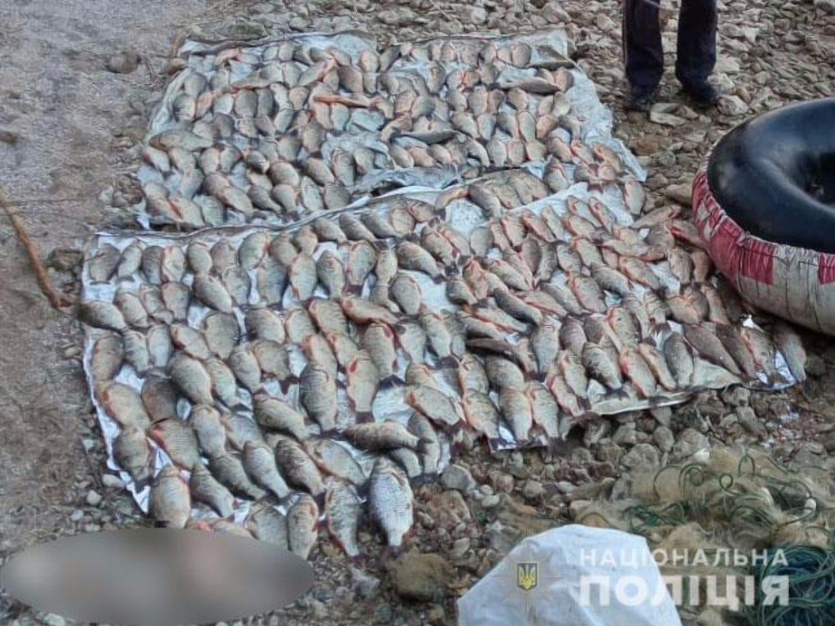 Каховское водохранилище,браконьер,Нововоронцовка