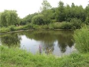 Заборона відвідування місць масового відпочинку