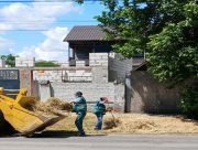Комунальники Херсона продовжують працювати задля чистоти та безпеки міста (ФОТО)