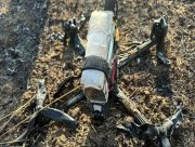 12 поранених за добу: російські війська атакували Херсонщину дронами та артилерією