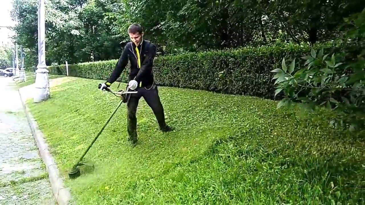 покос, департамент, миколаенко, войтенко, херсон