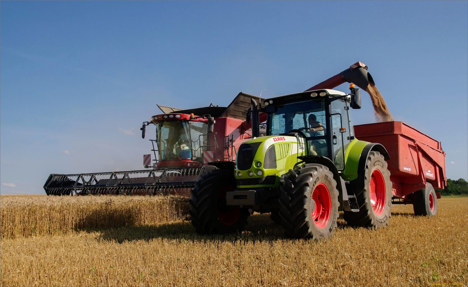 Херсон,жатва,комбайн