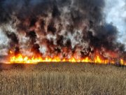 Окупанти не припиняють обстріли Херсонщини: одна людина загинула, горіли поля із зерновими