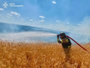Рятувальники загасили сім пожеж в екосистемах Херсонщини після російських ударів