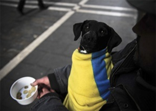 Держитесь херсонцы: Так Победим!