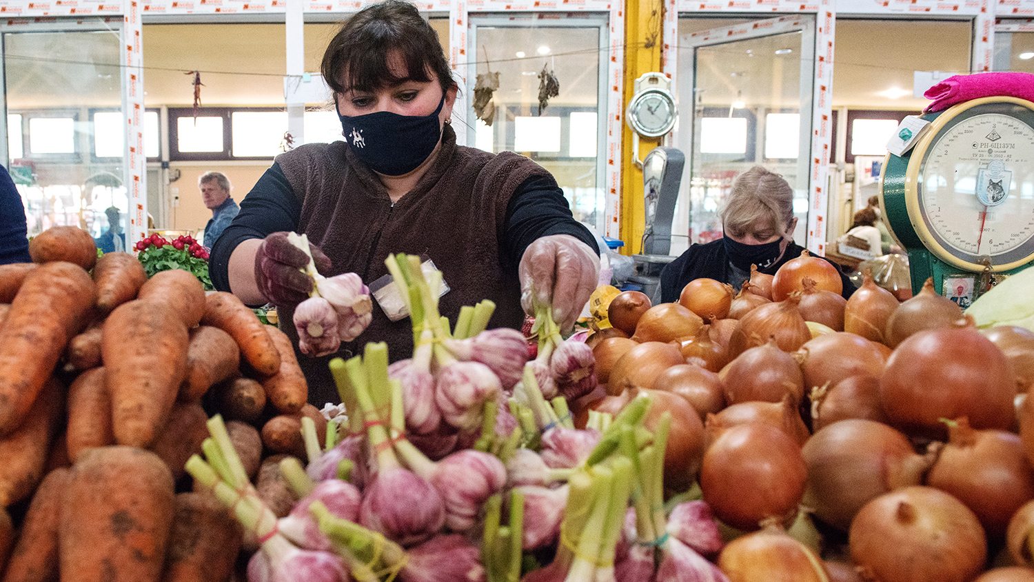 лук, аграрии, цены