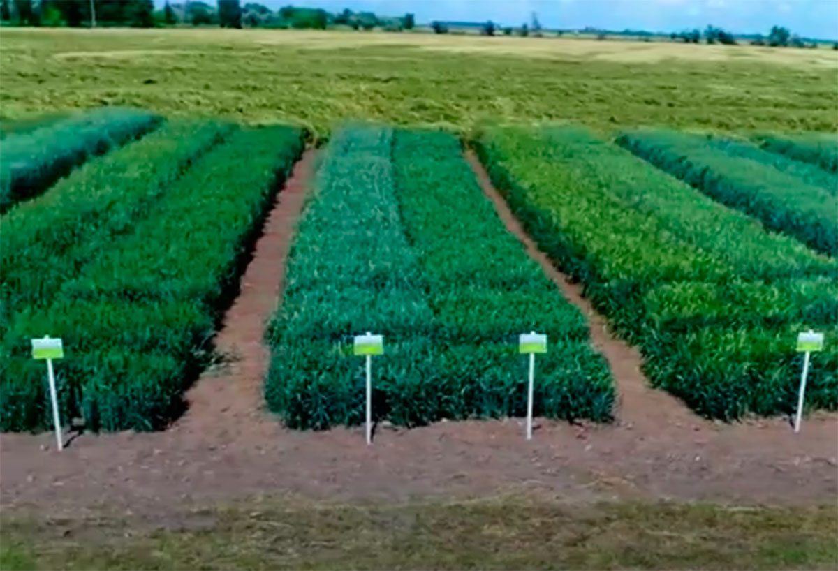 Херсонщина, відео, збитки