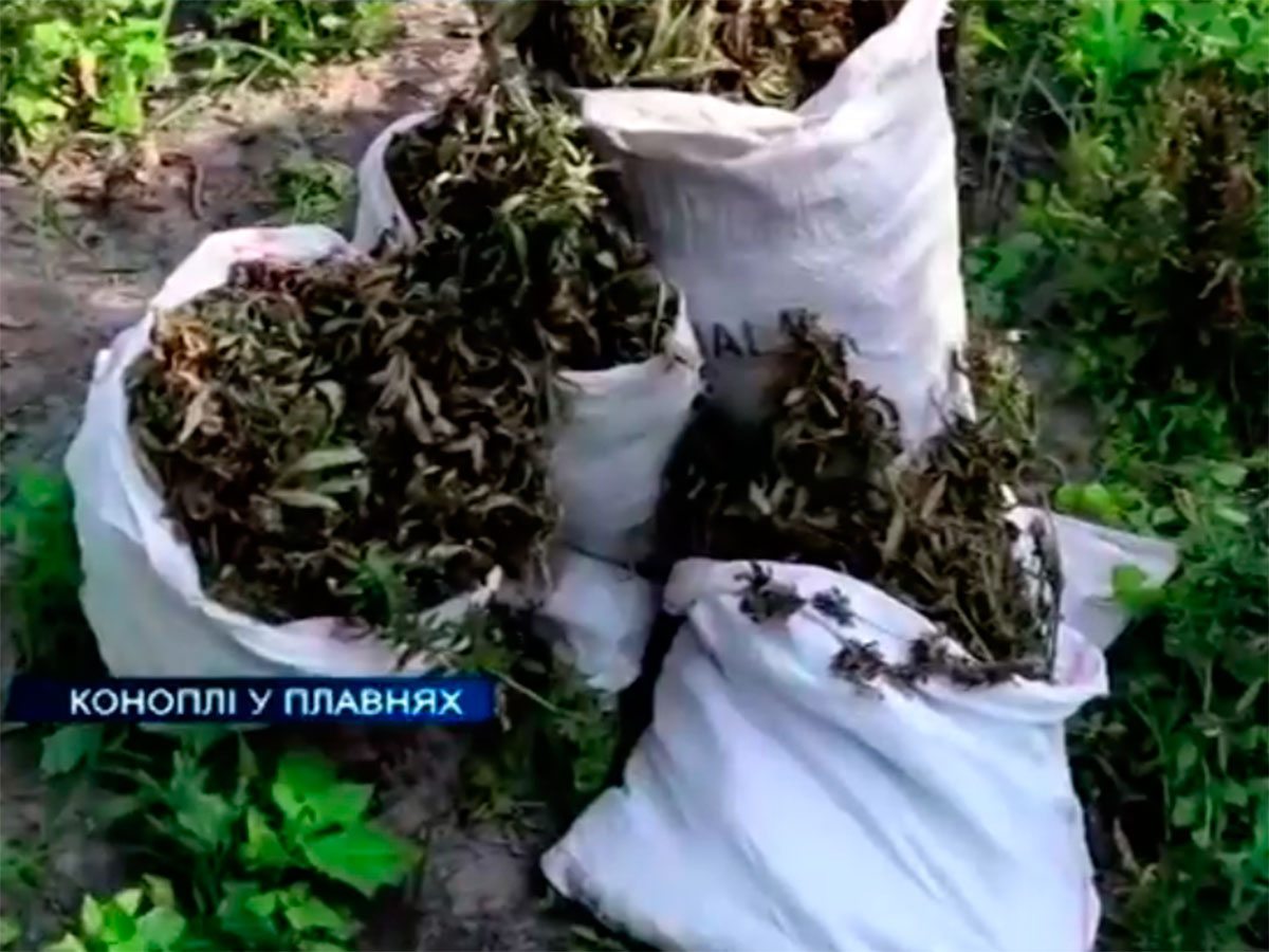 Херсонщина, відео, плантації