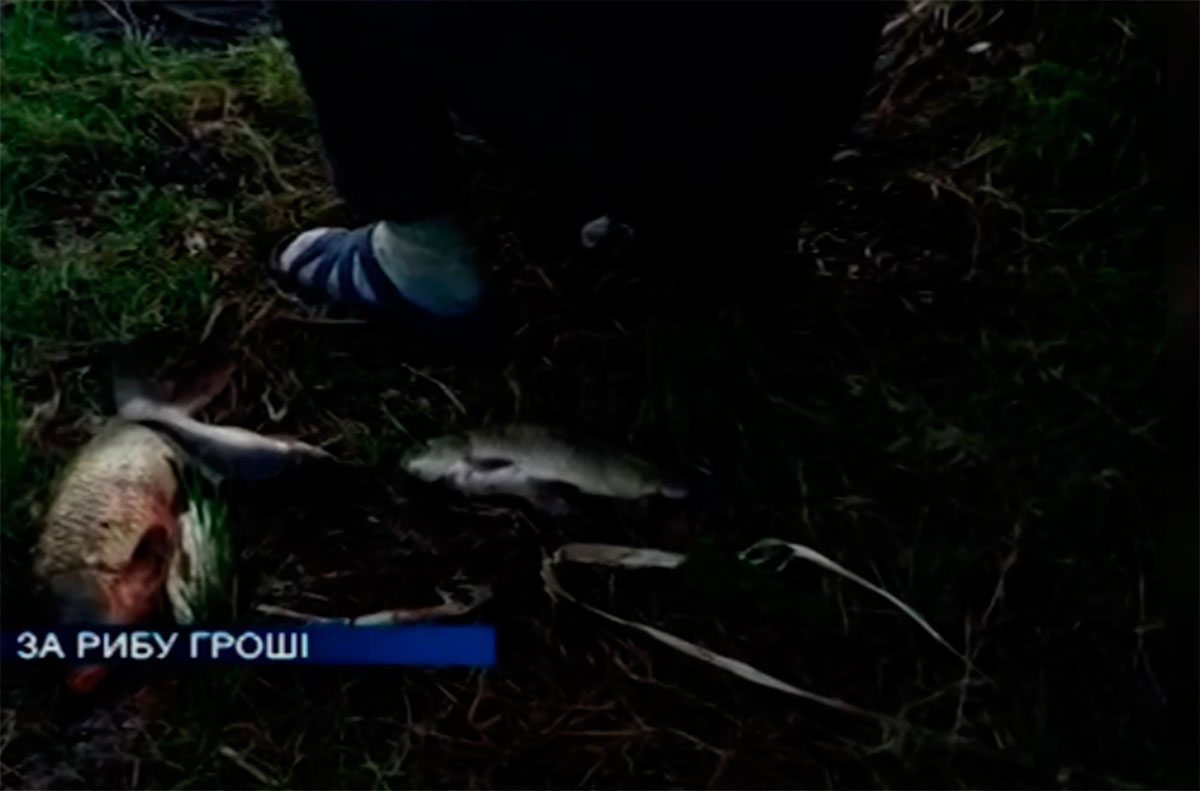 Херсонщина, відео, риба