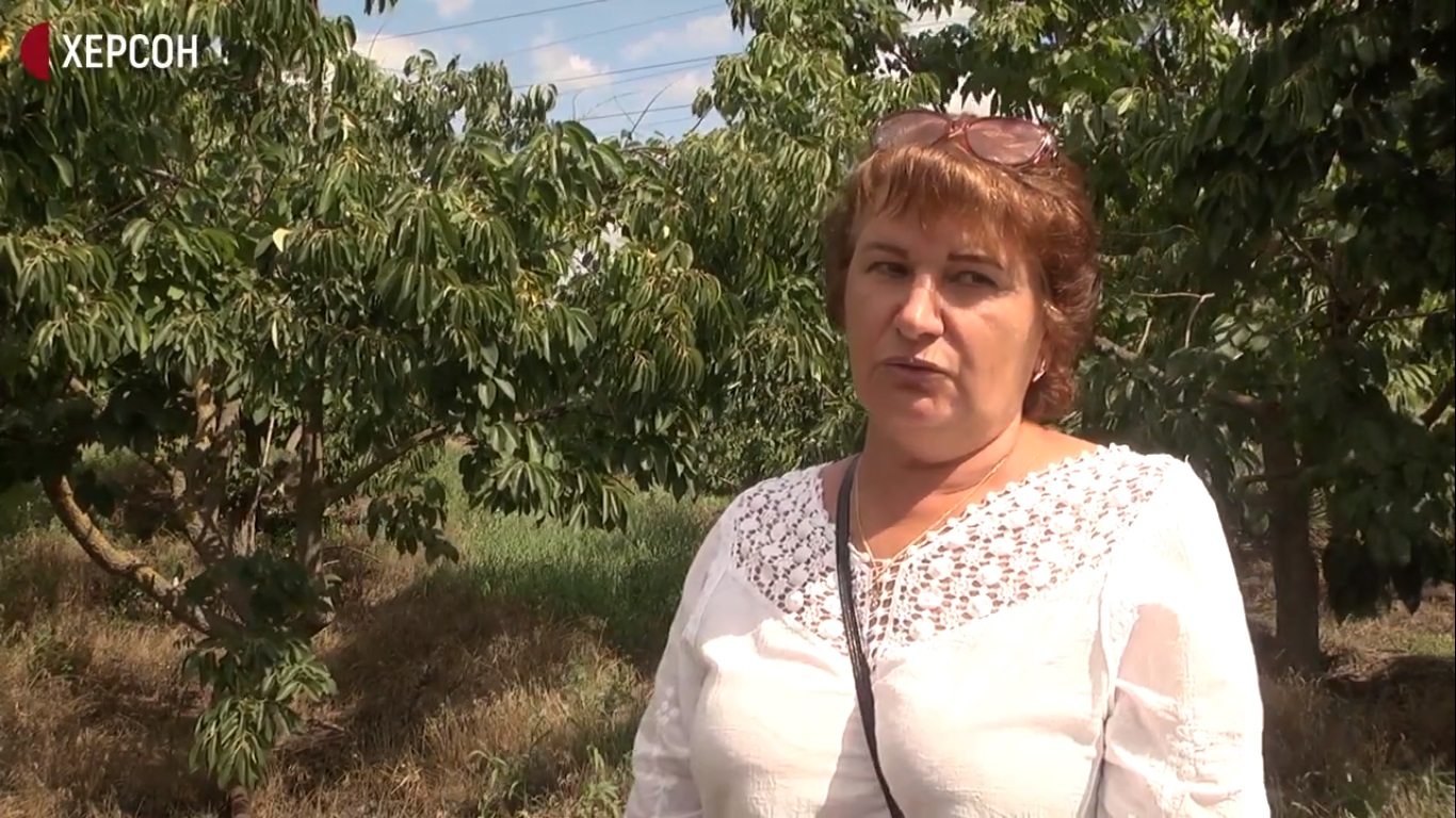 рослини, субтропічні, розсадник, інститут