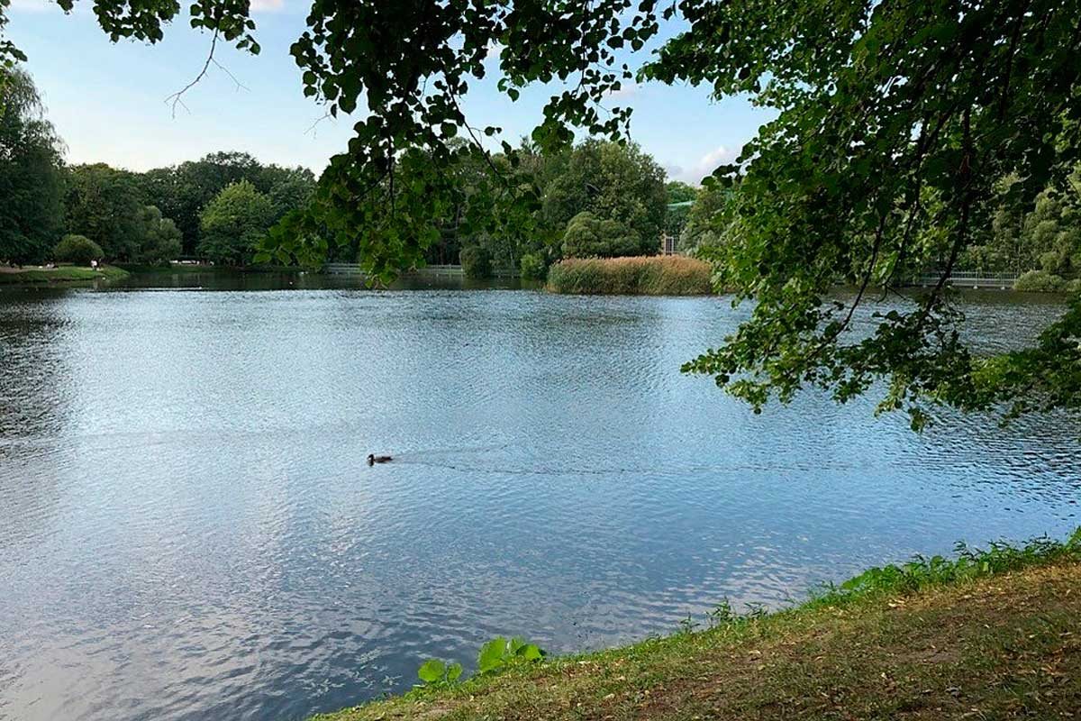 Геническ,прокуратура,аренда