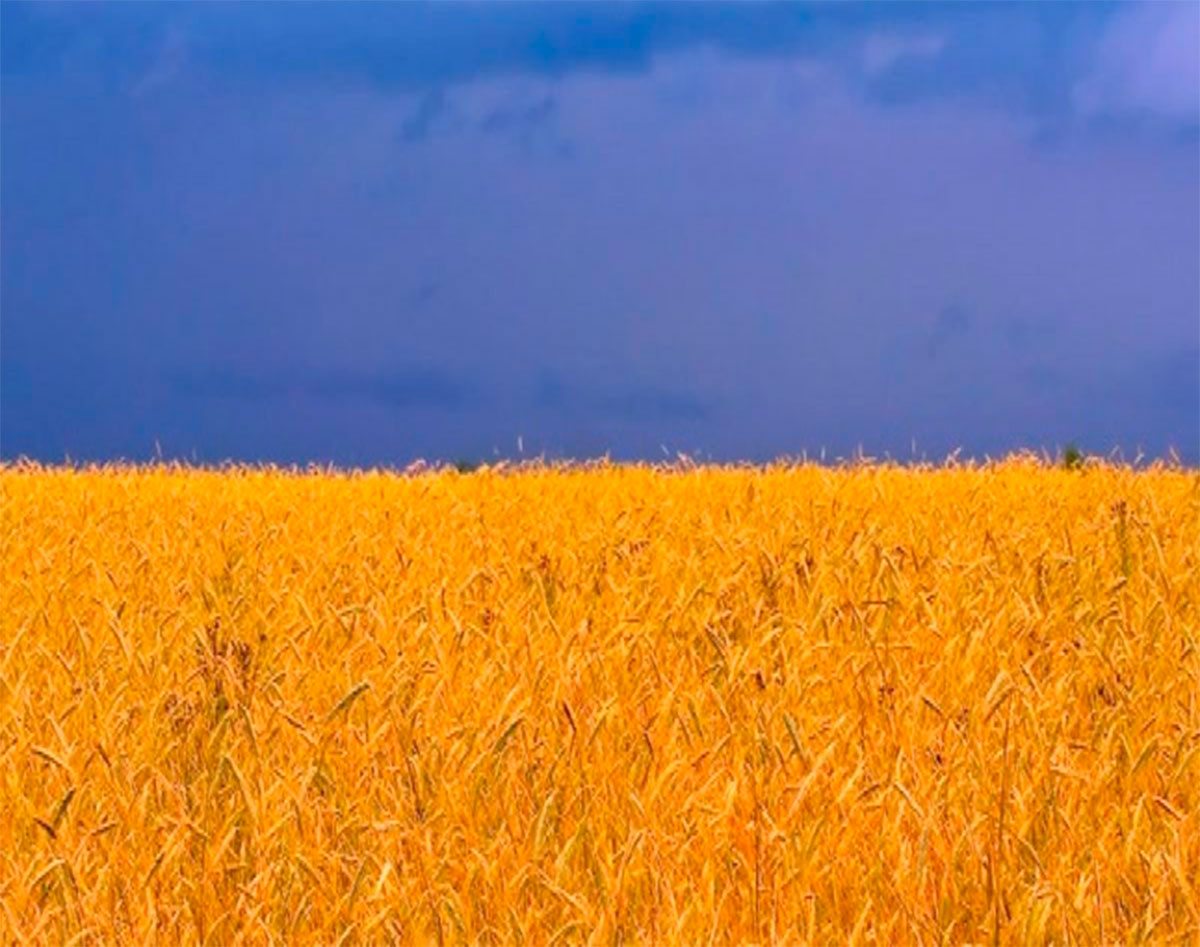 Свято, вітання, Дмитрієв