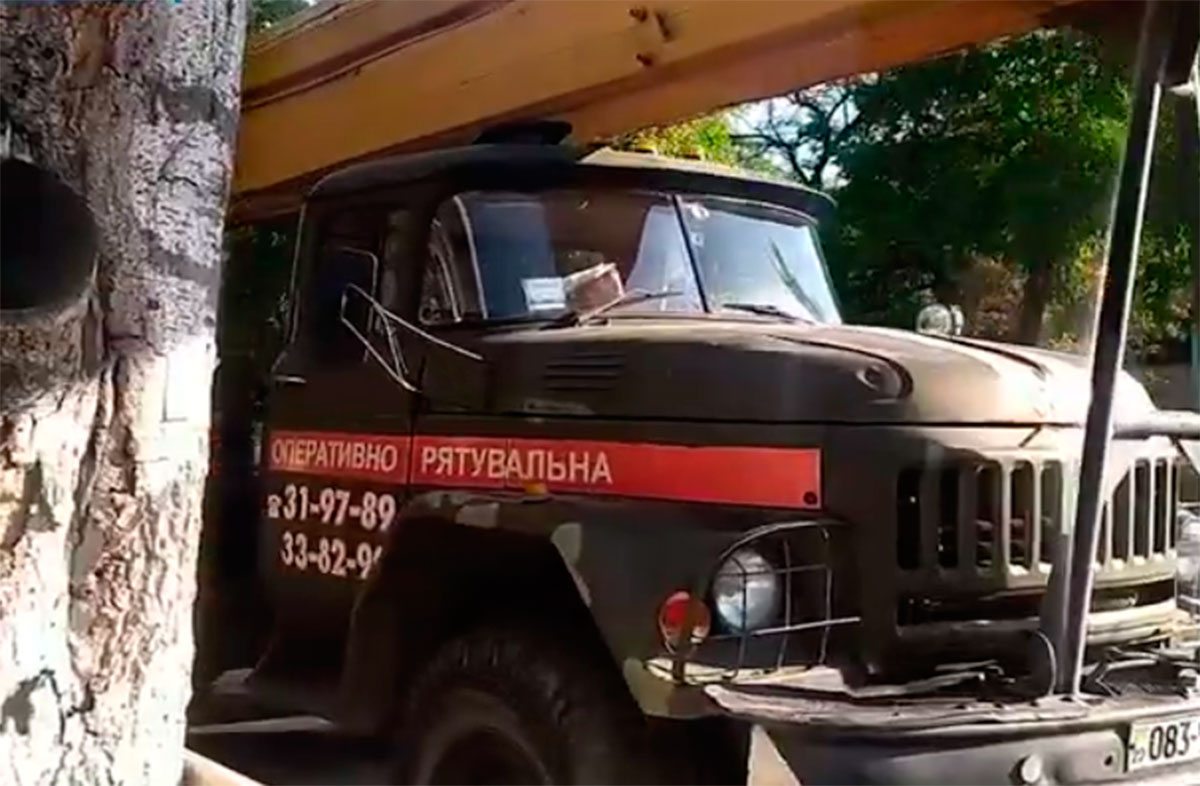 Херсон, відео, дерева