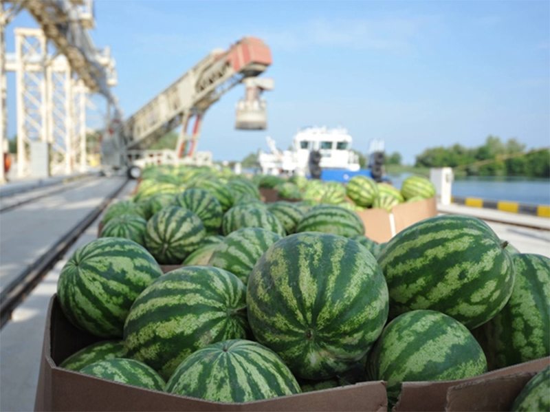 рейс, баржа, кавуни