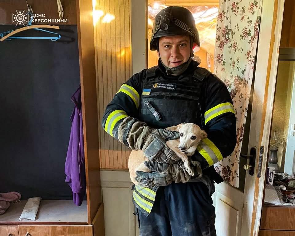 Кожне, життя, важливе, рятувальники, врятували, собаку, з-під завалів, Херсоні, ДСНС, Херсонщини, прибули, місце, виклику, ліквідації, пожежі