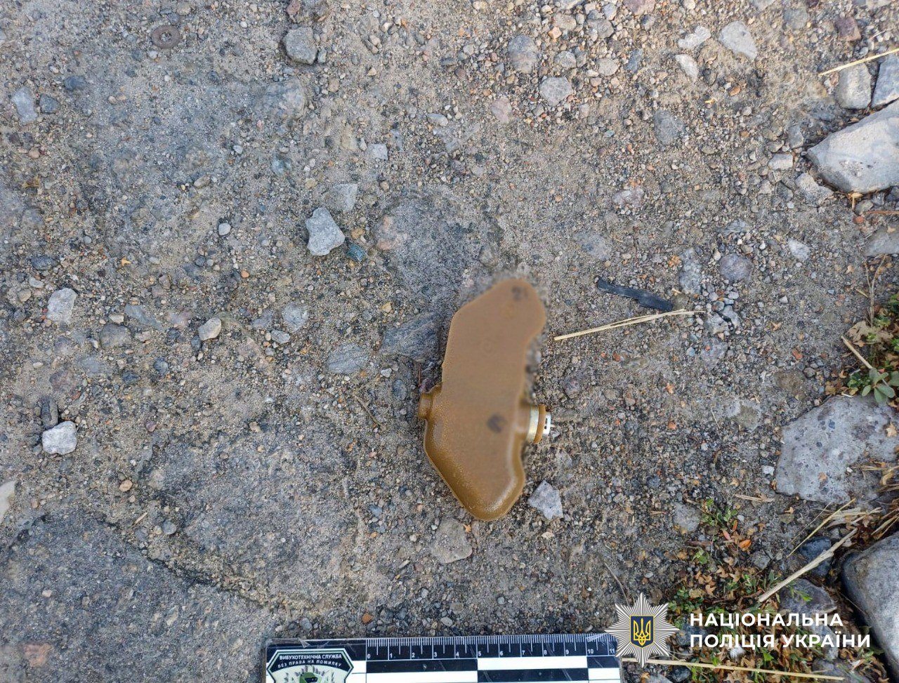 Росіяни, дистанційно, замінували, житлові, квартали, Херсона, поліція, знешкодила, пелюстки, Поліція, Херсонщини, працює, посиленому, режимі, протипіхотні, міни, вибухотехніки, правоохоронці