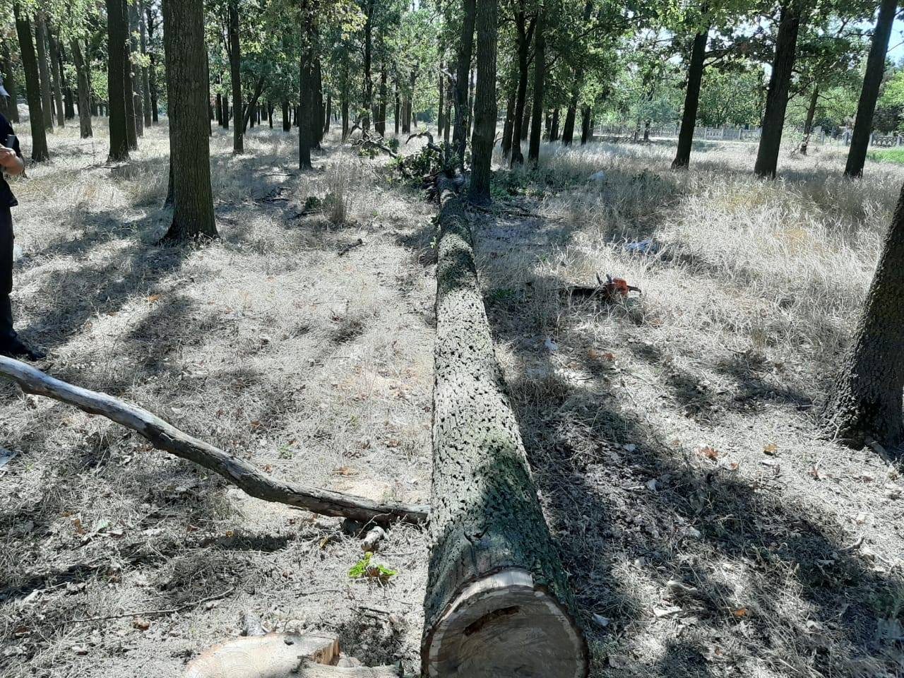 Скадовск,браконьер,полиция