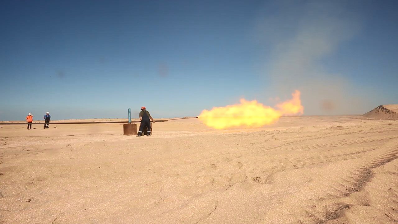 чорноморнафтогаз, родивище, стрілкове