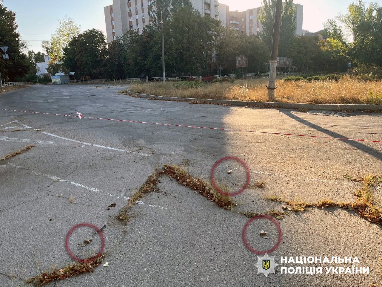 Херсоні, виявили, знешкодили, російські, протипіхотні, міни, випадки, дистанційного, мінування, міни, типу пелюстка, ворог, навмисно, розкидає, небезпечні, боєприпаси, ПФМ-1, ПФМ-1С,сапери