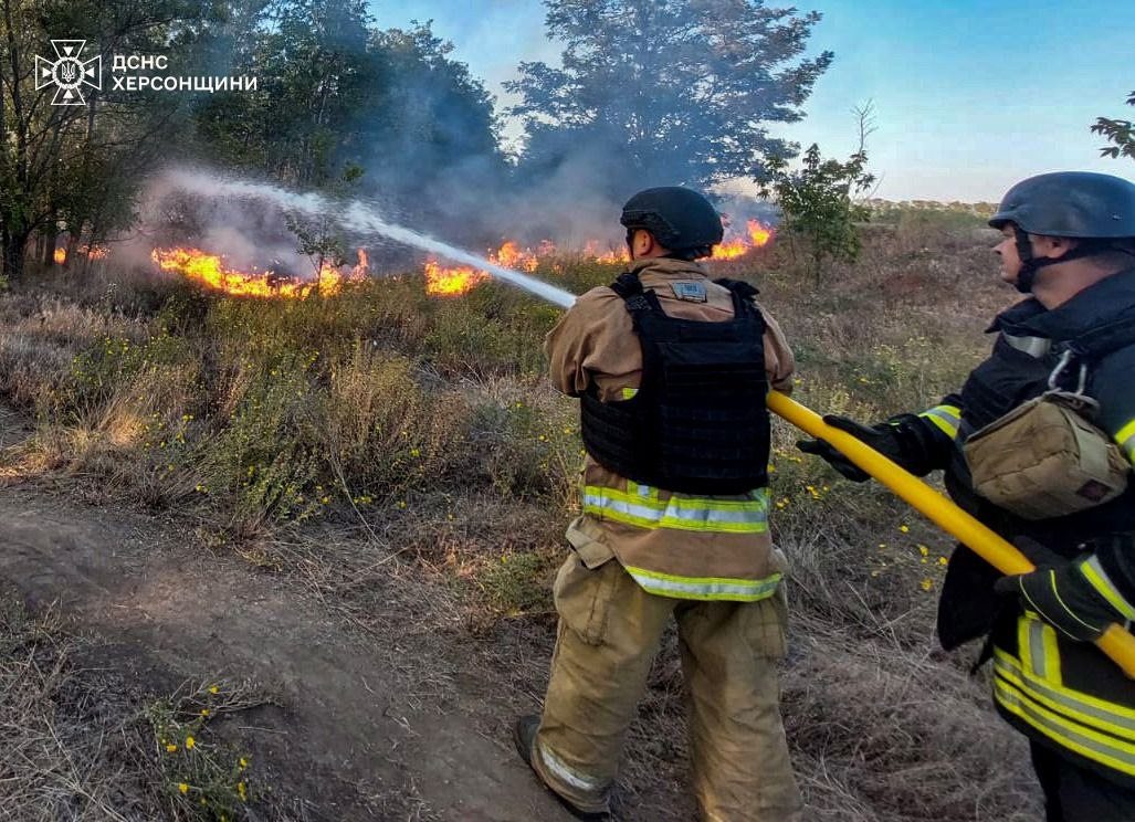 Херсонщині, внаслідок, обстрілів, горіли, дачному, кооперативі, будинки, екосистеми, рятувальники, спільно, підрозділами, місцевої, пожежної, охорони, ліквідували, пожежі, природних, екосистемах