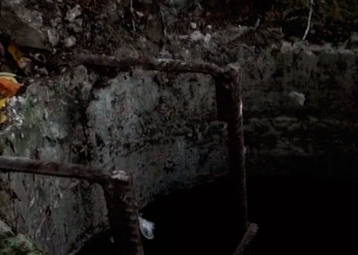 Херсон, відео, пастка