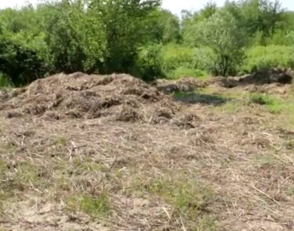 смітник, підприємець, відео