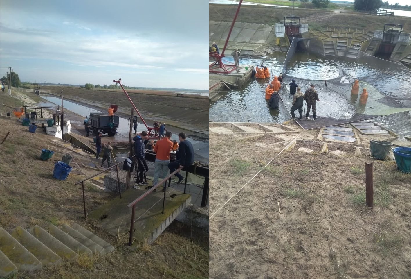 рыба, патруль, молодь, днепр, водохранилище, заселение