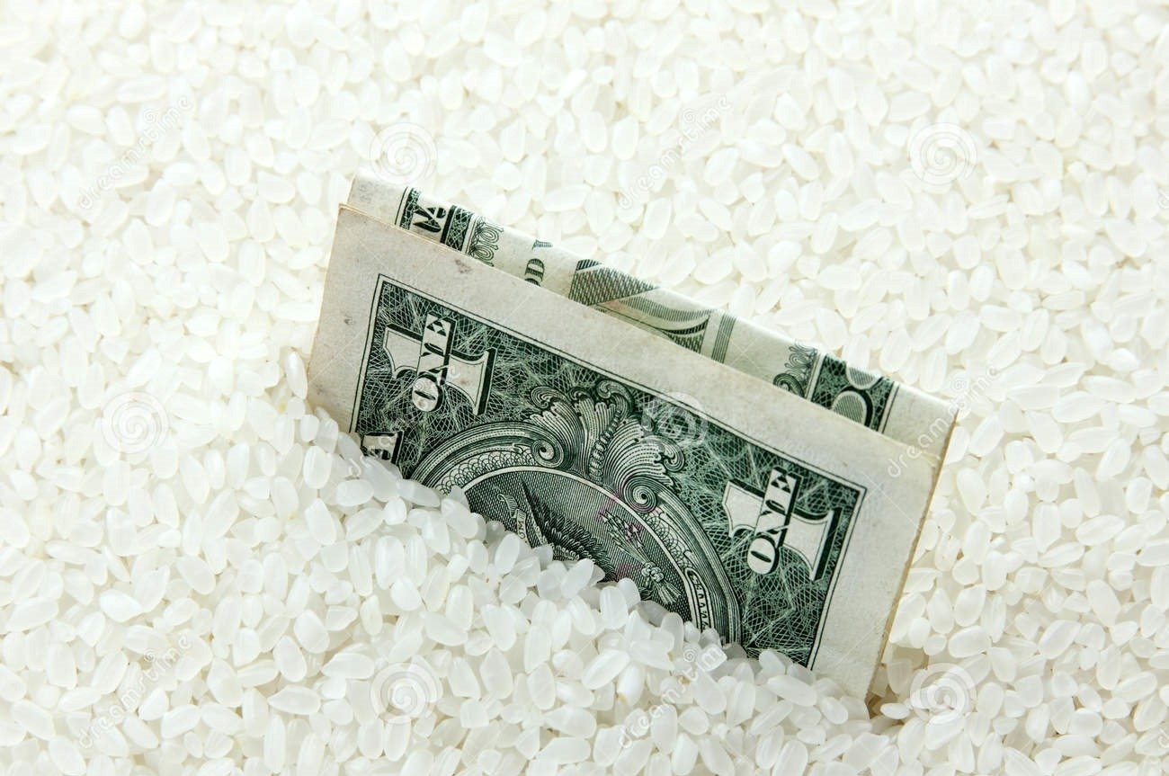 Херсонщина, рис, господарство