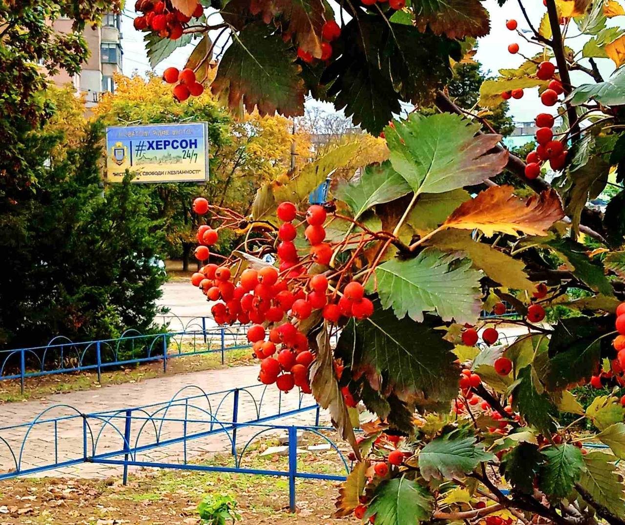 Херсон Херсонці фото 2025