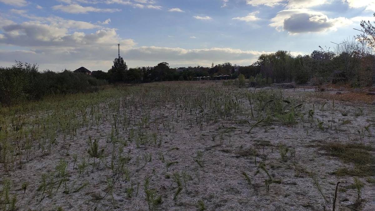 На дні, колишнього, Каховського, водосховища, виявили, нові, види, рослин, останньої, наукової, експедиції, території, Херсонщини, дослідники, вивчали, стан, рослинності