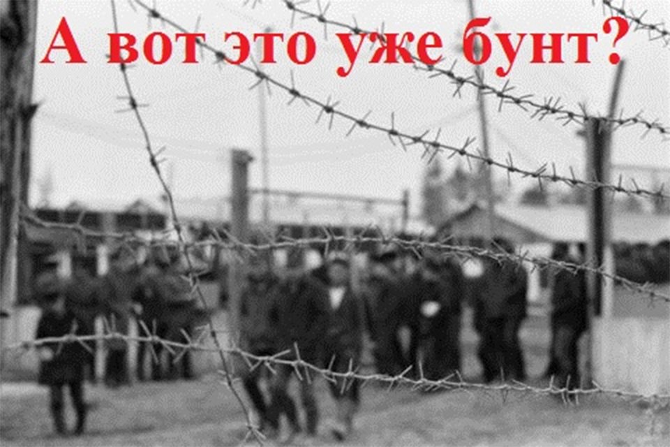 бунт, мер, карантин