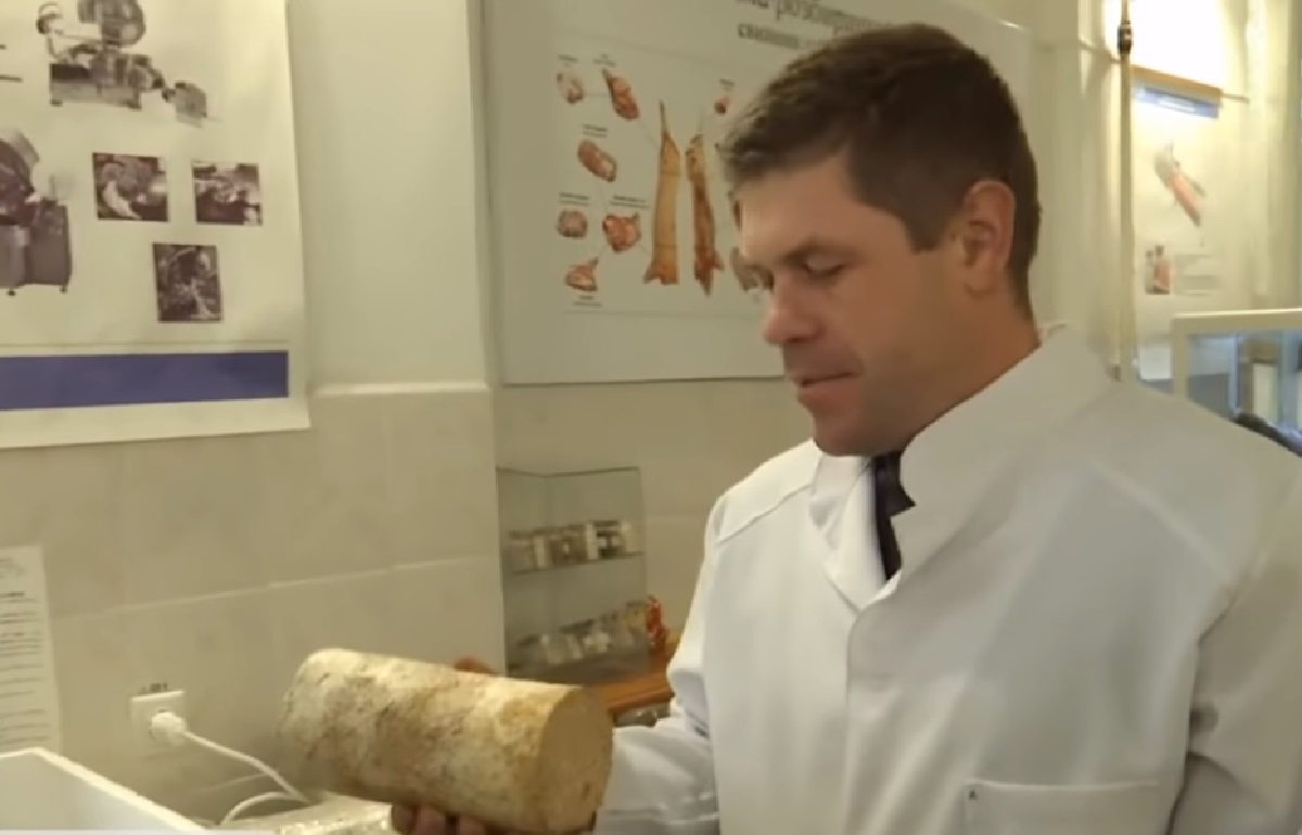 грибы, ученые, пластик, полимер, пенопласт