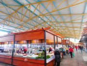 У Херсоні є простір де комфортно і людям і птахам