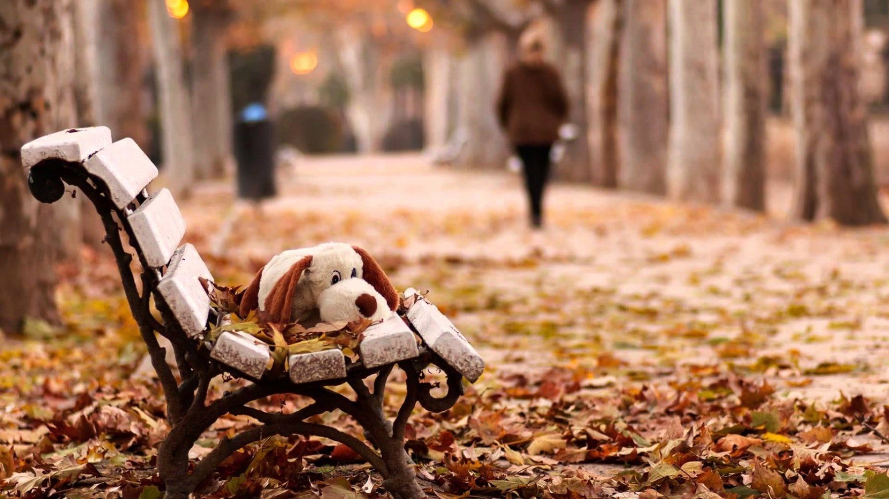 Херсон, осінь, хандра