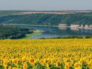 1000 днів незламності: боротьба України, яка змінила світ