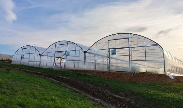 Тягинській громаді, встановили, 40 теплиць, переселенців, спільній, роботі, місцевої влади, Агенції регіонального розвитку, Херсонщини, благодійного, фонду, Ранок відродження, Тягинській громаді, Херсонської області, внутрішньо переміщені особи, отримали, нові можливості, роботи, розвитку власного господарства,