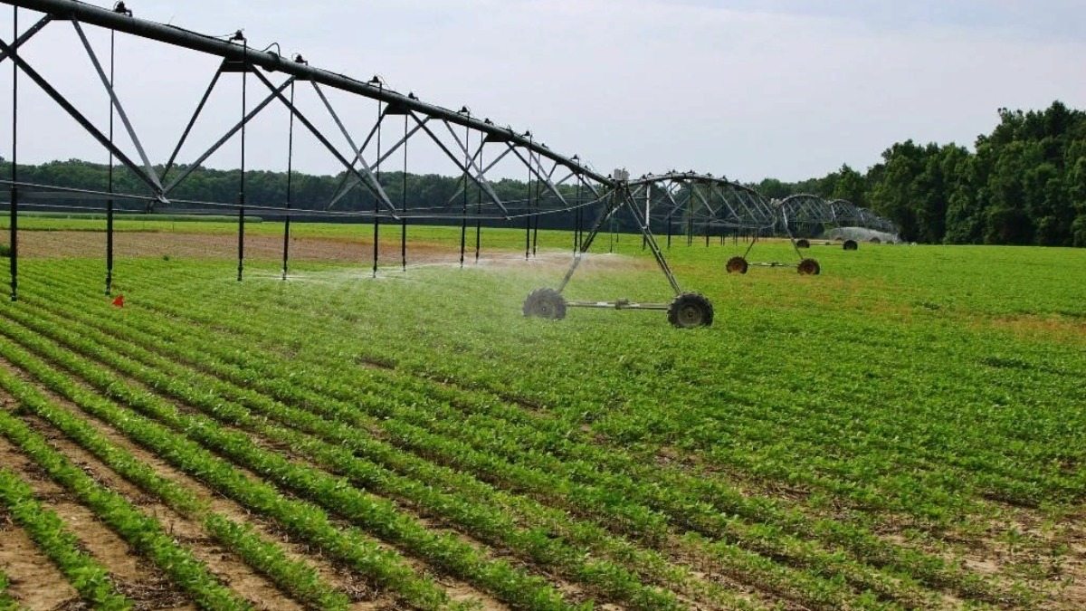 Чаплинский район,система мелиорации,суд