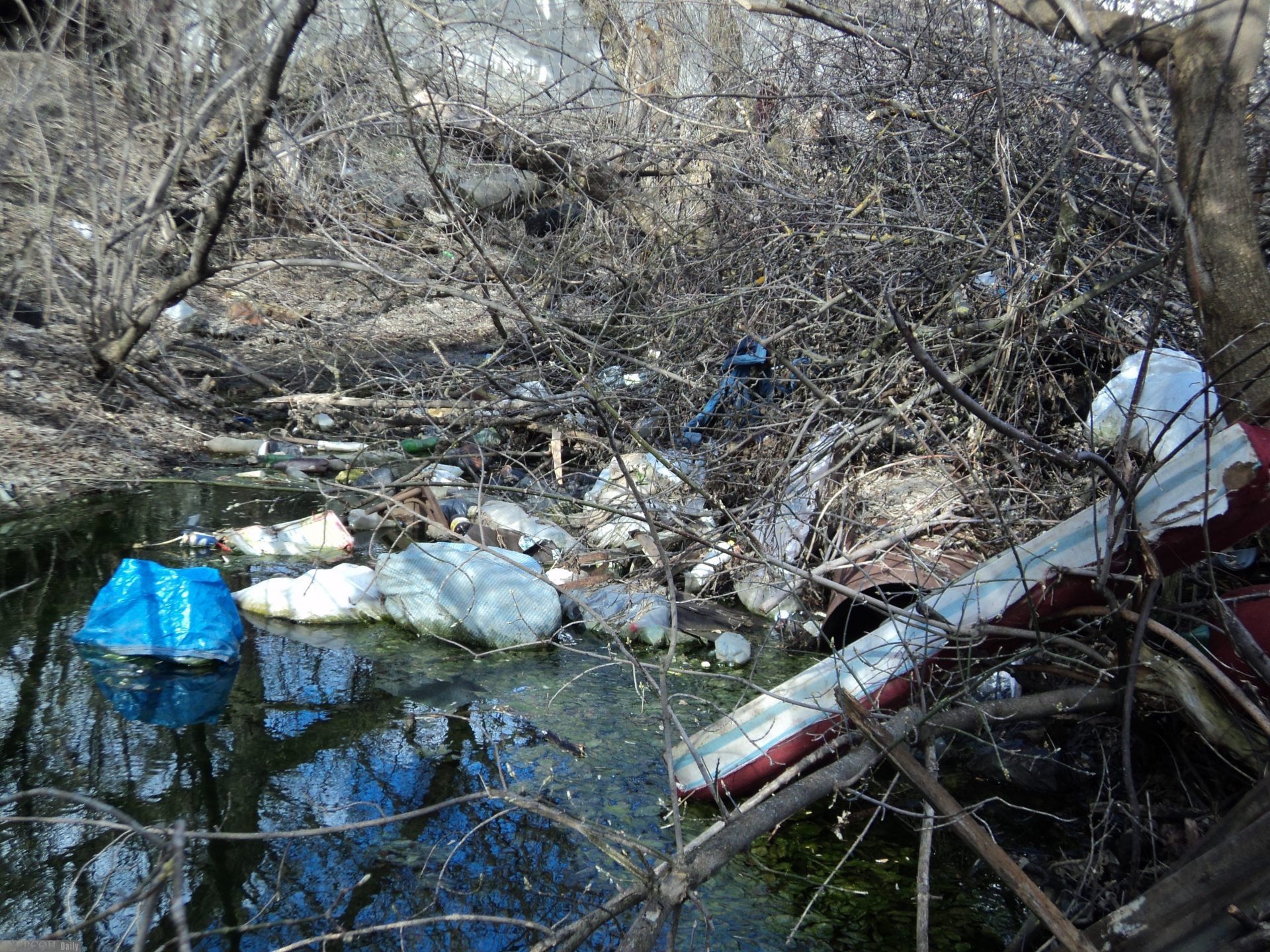 Херсон, екологія, берег