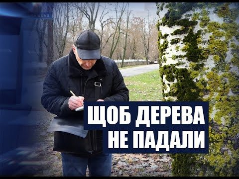 Херсон, дерева, аварійні