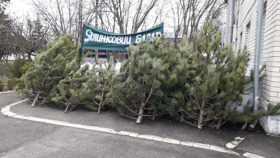 Херсон, ялинки, базари