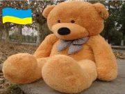 Благодійність, яка здійснює мрії: історії маленьких жителів Нової Каховки