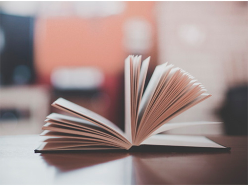 Куди приведе Херсонщину «реформа» освіти